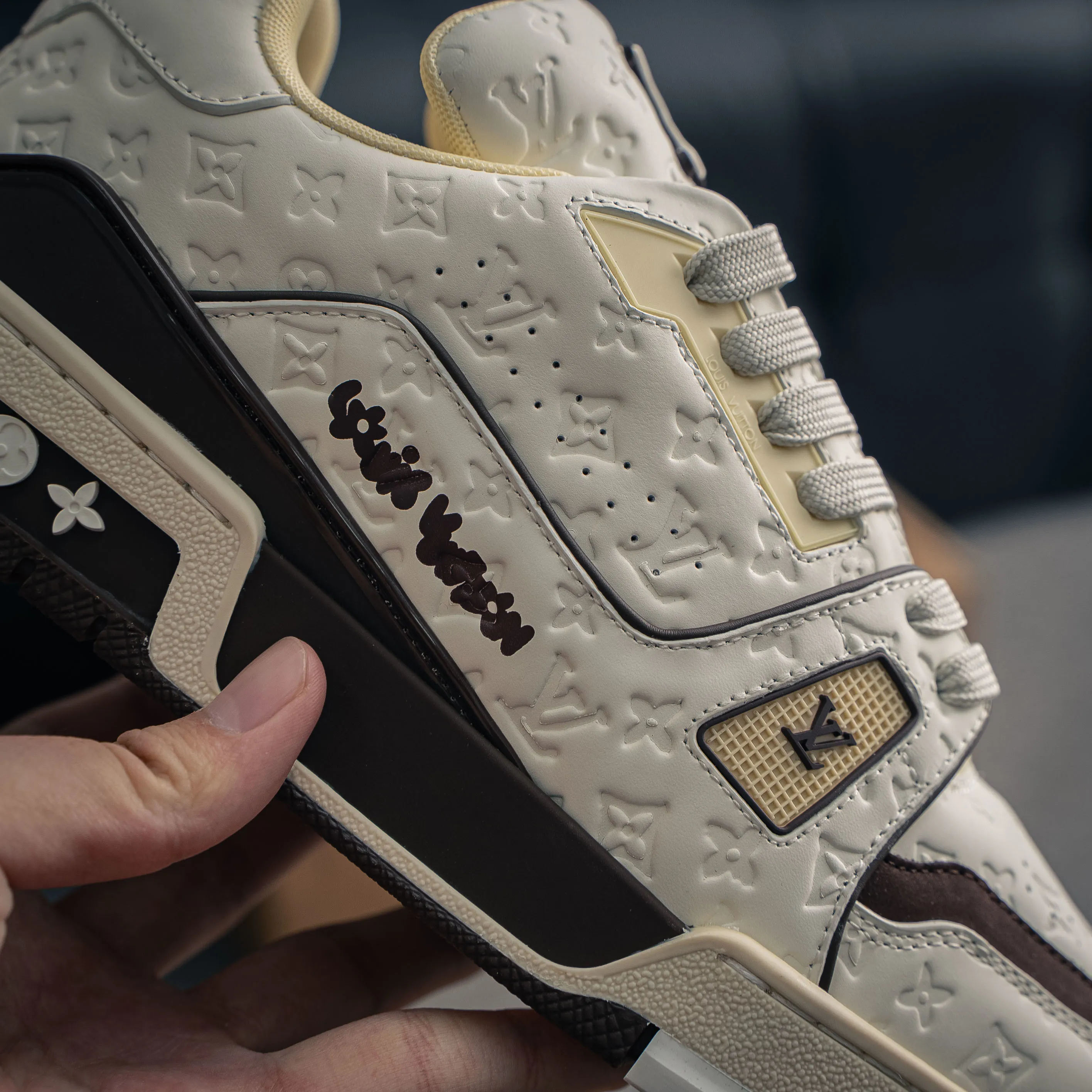 Louis Vuitton Trainer lv Sneakers Shoes Shoes